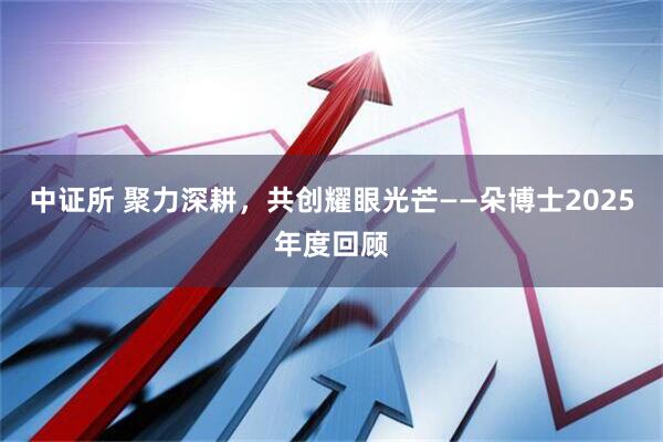 中证所 聚力深耕，共创耀眼光芒——朵博士2025年度回顾