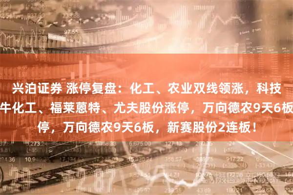 兴泊证券 涨停复盘：化工、农业双线领涨，科技反弹迎来分化！金牛化工、福莱蒽特、尤夫股份涨停，万向德农9天6板，新赛股份2连板！